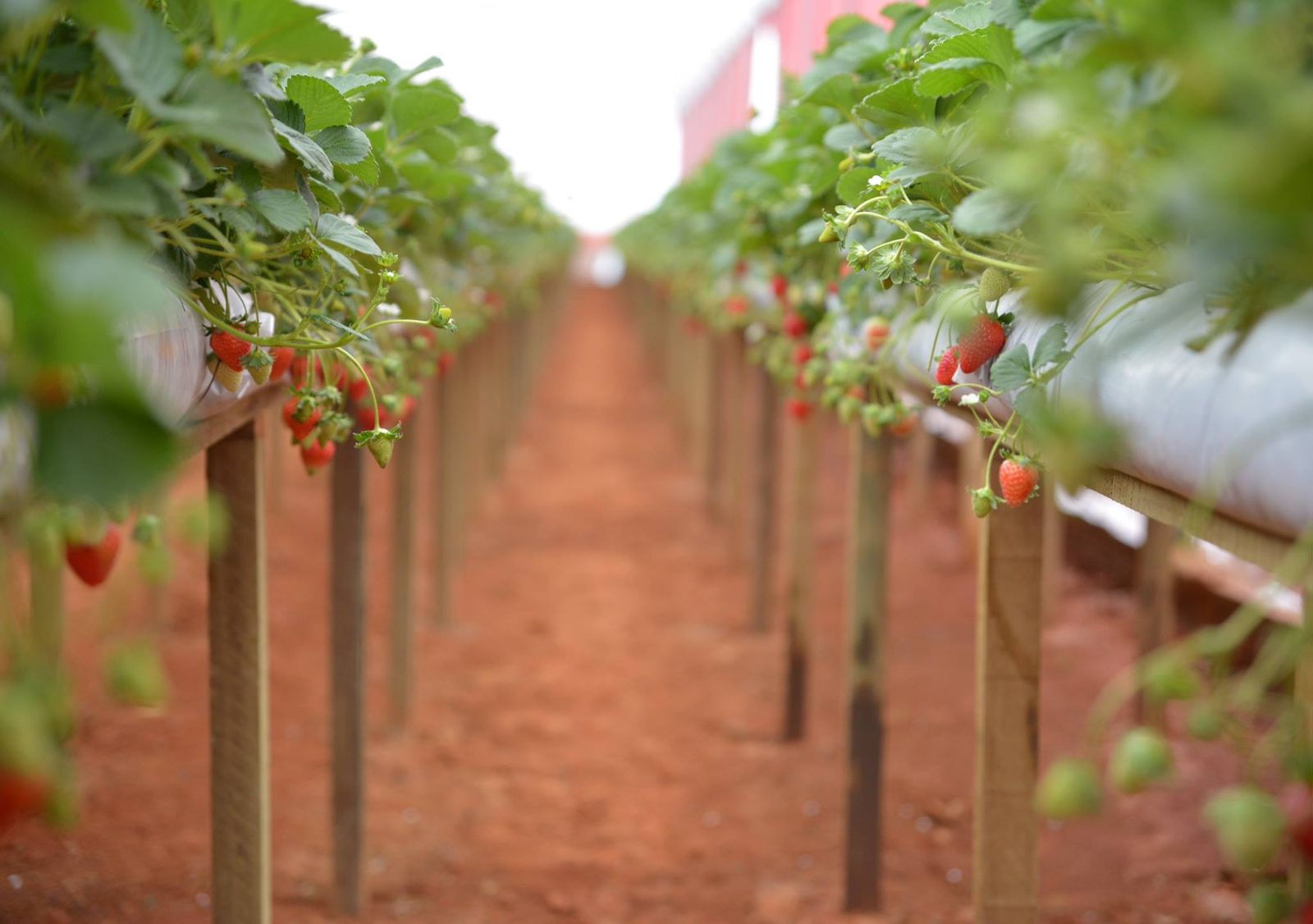 WhatsApp Image 2023-07-14 at 15.48.53